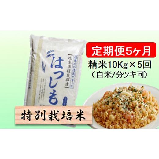 ふるさと納税 岐阜県 池田町 令和５年産　特別栽培米★[定期便] 5カ月★毎月 精米10kg（白米／5分／7分ツキ可）  玄米は別に出品 [No.5644-1158]