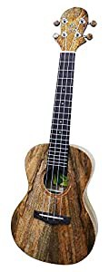 Big Island Ukulele ウクレレ HONU Hawaiian Mango Series コンサート U-MO-CTS(中古品)