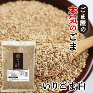 波里 いりごま 白 600g 送料無料 胡麻(ごま) ゴマ いり胡麻 業務用