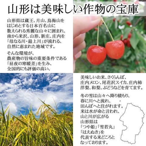 新米 米 お米 おこめ 令和5年産  あきたこまち 玄米10kg 5kg袋×2 (無洗米に精米後4.5kg×2袋 )山形県産 白米・無洗米・分づきにお好み精米 送料無料 当日精米