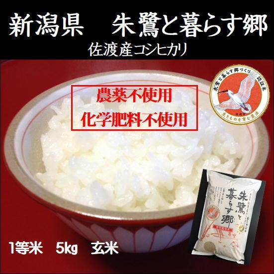 令和5年産　無農薬　佐渡産　朱鷺と暮らす郷　玄米5ｋ