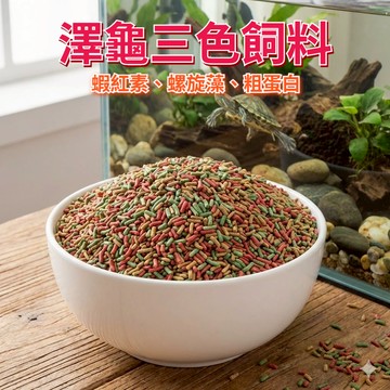 陸龜驛站｜澤龜飼料 水龜飼料 烏龜飼料 飼料 烏龜 斑龜 忍者龜 麝香 屋頂 巴西 地圖 澤龜水龜