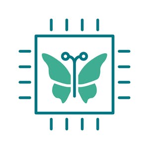 Digital Transformation