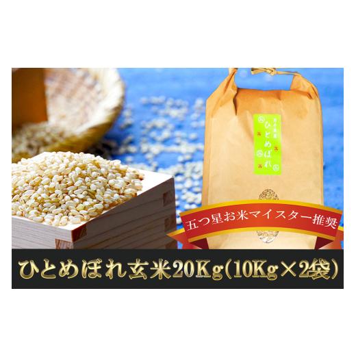 ふるさと納税 岩手県 盛岡市 盛岡市産ひとめぼれ玄米 20kg