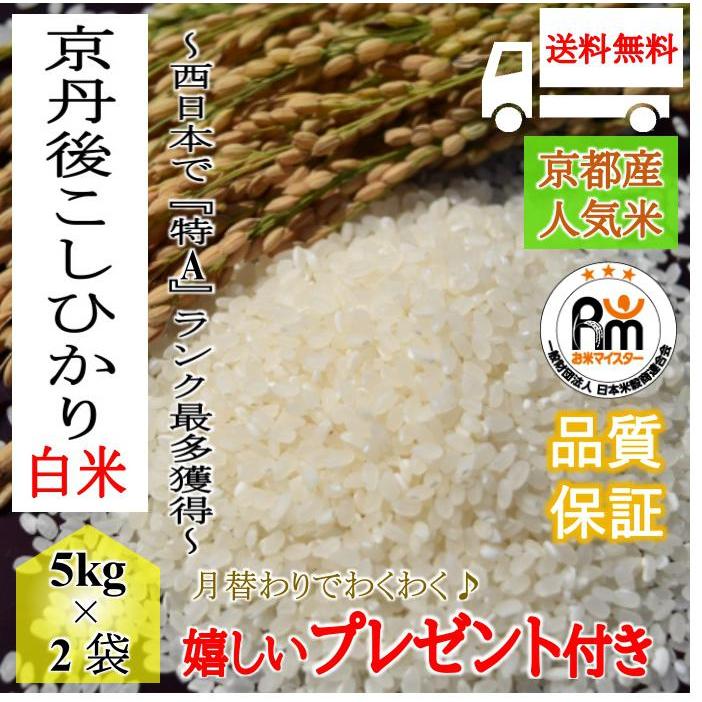 お米 10kg 京丹後 こしひかり 5kg×2袋 令和4年産 熨斗無料 ギフト グルメ お礼 お祝い お中元 お歳暮 嬉しいプレゼント付き 送料無料