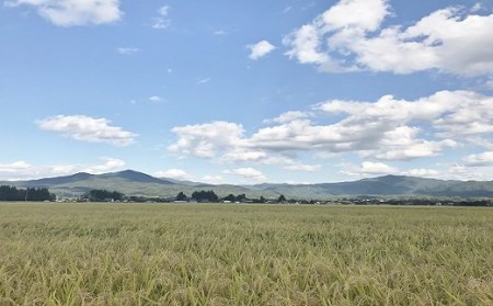 AD019　★令和5年産★ひとめぼれ5kg　岩手県紫波町産