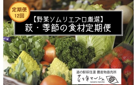 野菜セット 定期便 12ヶ月 萩・季節の食材 野菜ソムリエプロ厳選 野菜 果物 加工品 セット 詰め合わせ お楽しみ