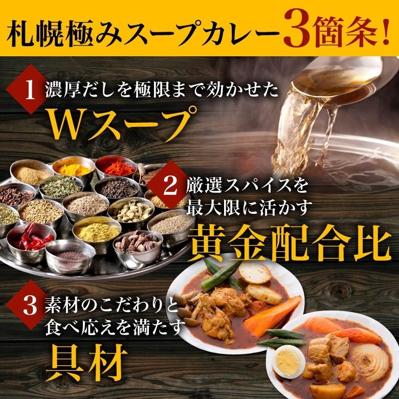 札幌極みスープカレー 業務用20食 送料無料 スープカレー レトルト カレー 大容量 北海道 チキン10食・豚角煮10食 ギフト 飲食店 レストラン ホテル 卸