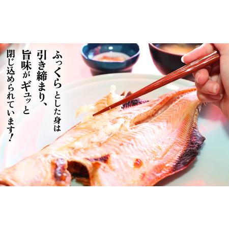 ふるさと納税 越前産 赤かれい 干物（6枚入り）産地直送！こだわり一夜干し 調理しやすい 中サイズ 【赤カレイ 無添加 ひもの 人気 お取り寄せ .. 福井県越前町