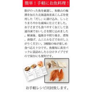 ふるさと納税 和歌山魚鶴仕込の魚切身詰め合わせセット(3種8枚)×2セット 和歌山県九度山町