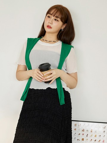 皺皺感透肌網紗短袖上衣