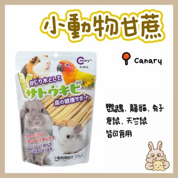 鼠兔星球 丨 Canary 小動物甘蔗 磨牙甜竹 磨牙零食 黃金鼠 三線鼠 兔子 鸚鵡 天竺鼠