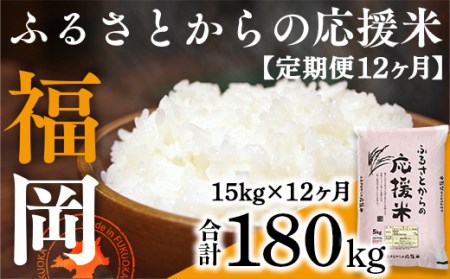 定期便12ヶ月 家庭応援米 訳あり 15㎏ 最新年度をお届け 精米 ブレンド米TY032