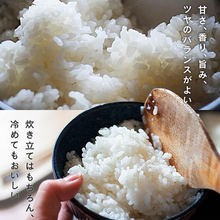 和の輝き 無洗米 5kg アイリスフーズ 2個セット 米 お米 こめ コメ ごはん ご飯 白米 はくまい ブレンド米 ブレンド 精米 国産米