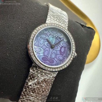 COACH 蔻馳女錶 28mm 槍灰色圓形精鋼錶殼 變色中二針顯示, 貝母錶面款 CH00251