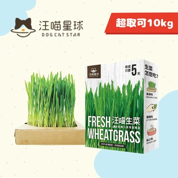 免運🍀汪喵星球 貓草新鮮栽培盒🍀汪喵 貓草 貓咪生菜 生菜 新鮮 天然 貓零食 寵物零食