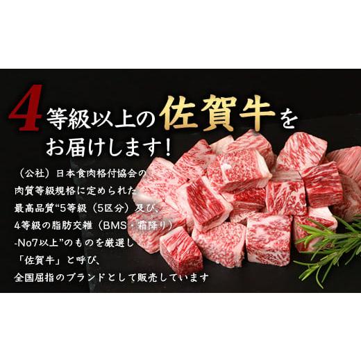 ふるさと納税 佐賀県 鹿島市 佐賀牛 食べ比べ お試し定期便 サイコロステーキ サーロインステーキ ローストビーフ F-57