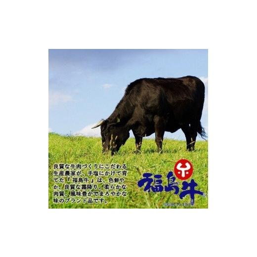 ふるさと納税 福島県 福島市 No.0821最高級　黒毛和牛　サーロインブロック　１kｇ　銘柄福島牛　A5〜A4等級