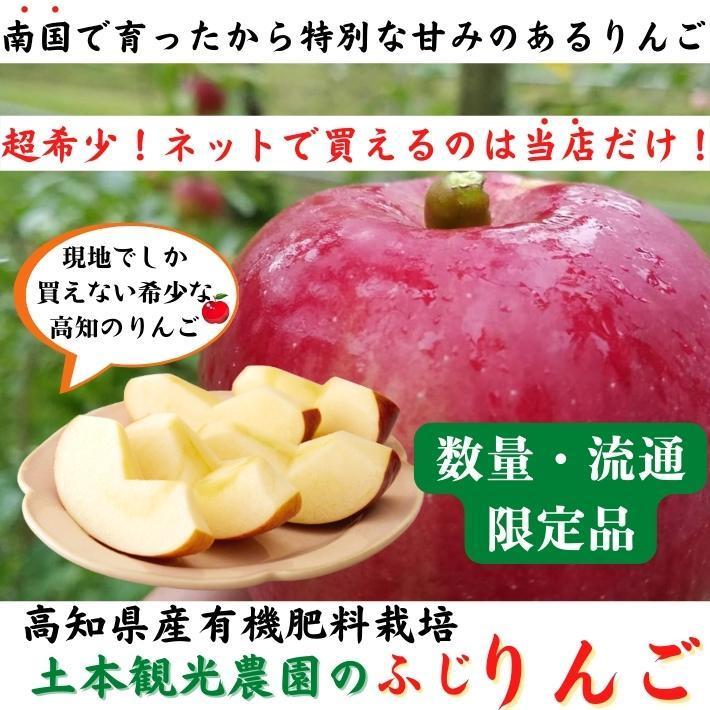 2024年度予約 高知県産 りんご ふじ  減農薬  有機肥料 8玉入 土本観光農園 ギフト 産地直送