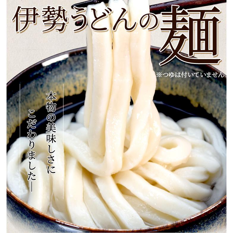 手打ち式伊勢うどん麺だけタイプ１０食入 つゆ無(簡易パッケージうどん） 送料無料 本場伊勢よりお届け 通販 伊勢うどん