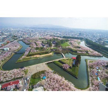 特選北海道旅遊｜冬季雪盆戲雪.札幌白色燈樹節.函館夜景纜車.洞爺湖.海洋公園.企鵝遊行.小樽音樂盒堂.三大蟹雙溫泉五日_26JH211CID