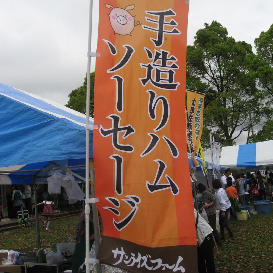 業務用 ジャンボフランク200本セット 110g×200本 串付 冷凍  模擬店 縁日 イベント 学園際 お祭り 秋祭り 屋台 ＢＢＱ 国産 子供会 PTA