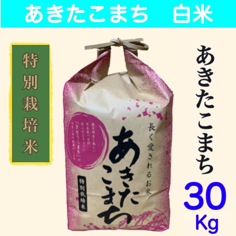 特別栽培米　白米３０ｋｇ　期間限定　秋田県大潟村産　あきたこまち白米３０kg（10kg×３）令和5年産　農家直送３０キロ　送料無料