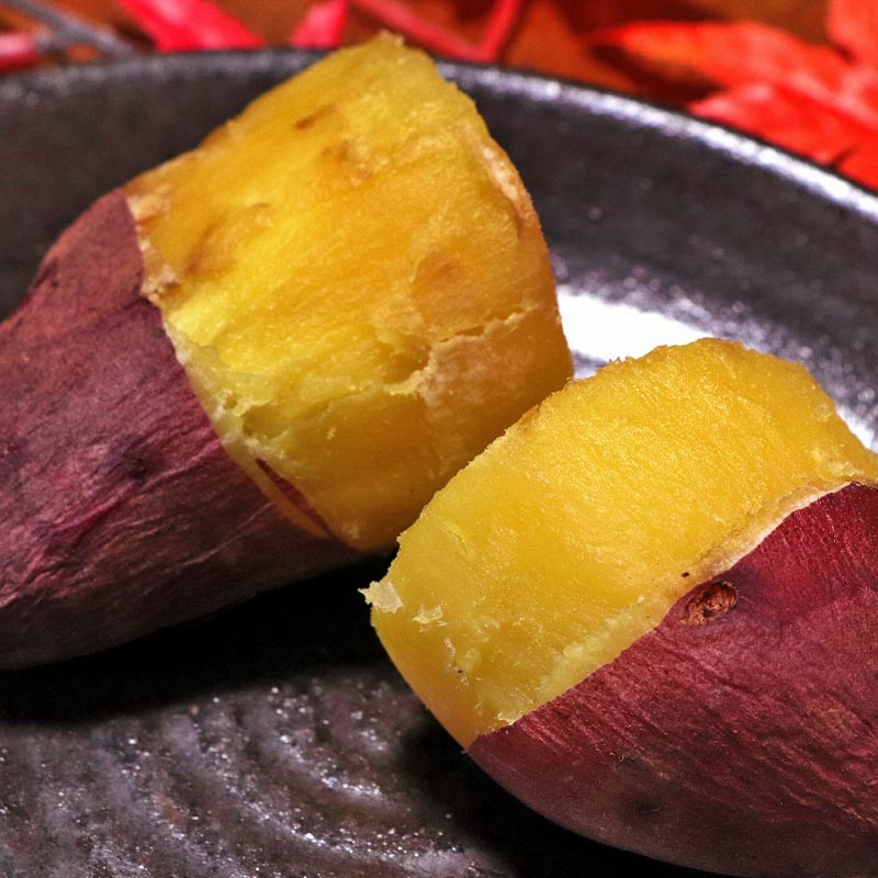 紅あずま・紅はるか・紅ゆうか さつまいも 約5kg 千葉県・茨城県産 訳あり品 濃厚な味と栄養豊富な旬の野菜!甘み溢れる薩摩芋をお届け 通販 LINEポイント最大GET | LINEショッピング 紅あずま・紅はるか・紅ゆうか さつまいも 約5kg 千葉県・茨城県産 訳あり品 濃厚な味と栄養豊富な旬の野菜!甘み溢れる薩摩芋をお届け 通販 LINEポイント最大GET | LINEショッピング