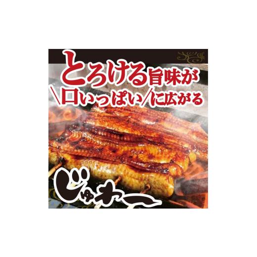 ふるさと納税 茨城県 古河市 AT06_うなぎ蒲焼き白焼きセット（蒲焼き：１６０ｇ×２・白焼き：１６０ｇ×２）