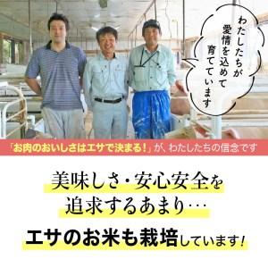 ふるさと納税 『定期便』_諫美豚(かんびとん)おすすめバラエティセット3kg_全4回 長崎県諫早市