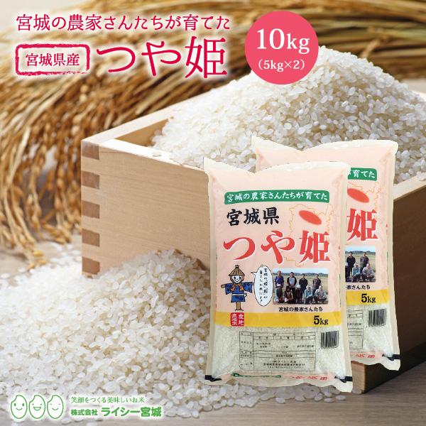 新米 つや姫 10kg 米 米10kg お米 白米 宮城県産 令和5年産 送料無料 5kg×2袋セット