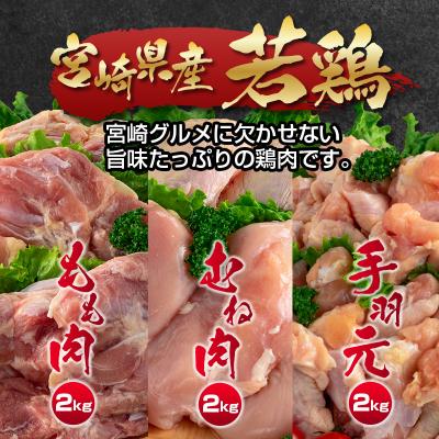 ふるさと納税 西都市 訳あり!!宮崎県産若鶏もも肉 むね肉 手羽元6kgセット[2350]