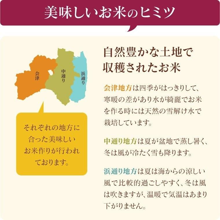 新米 令和５年 お米 10kg  Iwaki Laiki コシヒカリ 無洗米 福島県産 送料無料 精米  米