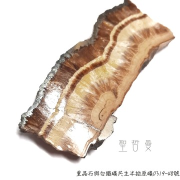 波蘭特產：重晶石與白鐵礦共生半拋原礦0319-48號 Barite/Baryte Marcasite