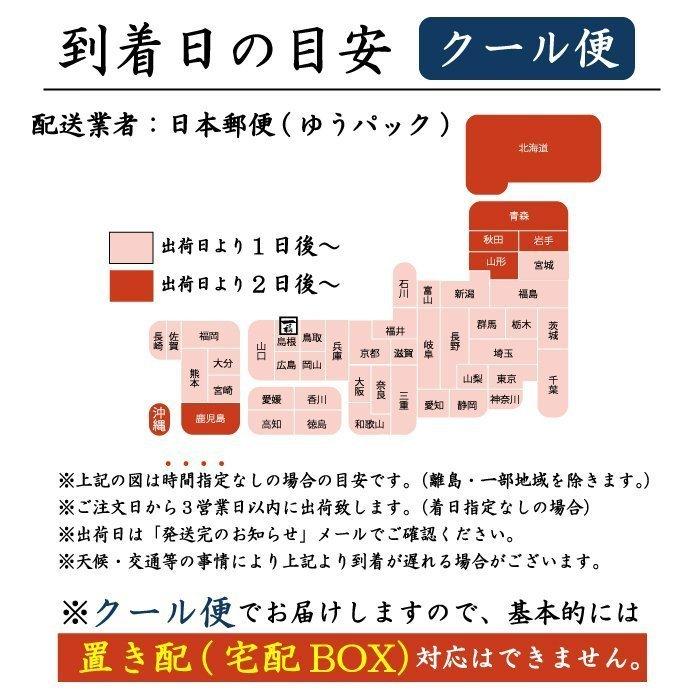 出雲そば 生そば・とろろセット 10人前 詰合せギフト そばギフト お取り寄せ グルメ