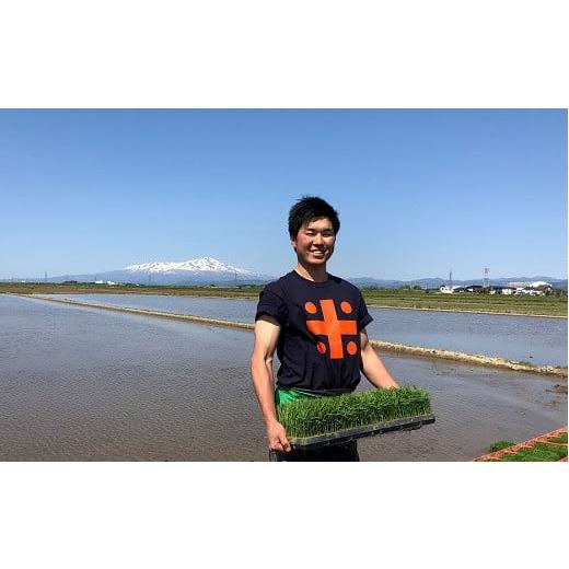 ふるさと納税 山形県 三川町 ecofarmすがわら特別栽培米ひとめぼれ10kg×6回