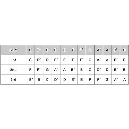 HAMMOND ハモンド 10穴ハーモニカ C調 HA-20