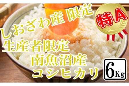 しおざわ産限定 生産者限定 南魚沼産コシヒカリ