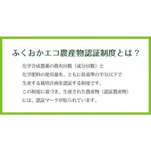 ふるさと納税 福岡県 小郡市 ゆうき自然農場　小郡産の里芋「赤芽大吉」5ｋｇ　ふくおかエコ農産物認証