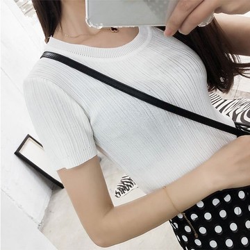 壓紋 冰涼T 微透 冰絲 針織 彈性 圓領 短袖 上衣 素面 顯瘦 大奶 百搭 多色 性感 韓國 ANNA S.