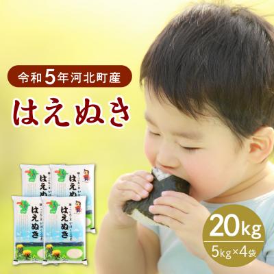 ふるさと納税 河北町 2024年8月下旬発送 はえぬき20kg 山形県産