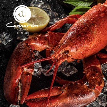 卡馬龍嚴選 加拿大生凍波士頓龍蝦/3隻/組