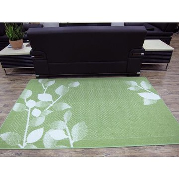 【范登伯格】青田日本原裝防蟲防臭抗菌進口地毯 _80x150cm 綠