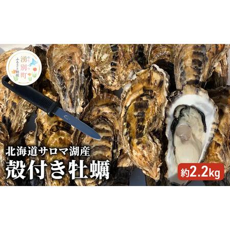 ふるさと納税 北海道 サロマ湖産 殻付き 牡蠣 約2.2kg 北海道湧別町