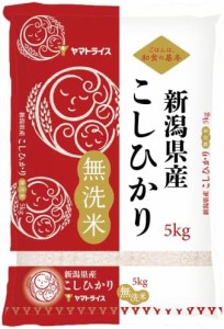  新潟県産 無洗米 白米 コシヒカリ 5kg 令和4年産