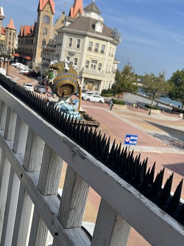 驅鳥刺 驅鳥釘 防貓刺釘驅鳥刺家用陽臺驅趕防鴿子防鳥屎驅鳥器防鳥神器貓咪刺【CM24777】