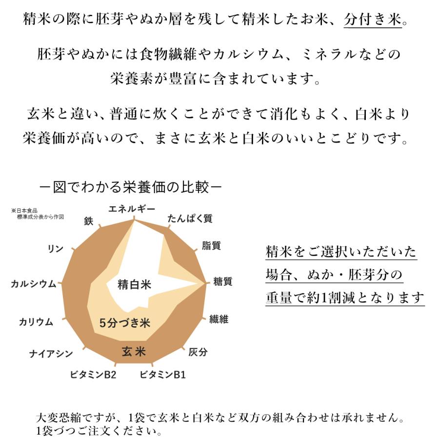 新米 米 お米 2kg 令和5年産 仁多米 コシヒカリ 奥出雲町 仁多郡 島根県産 こしひかり 出雲國 にたまい 神話 和牛完熟堆肥  棚田