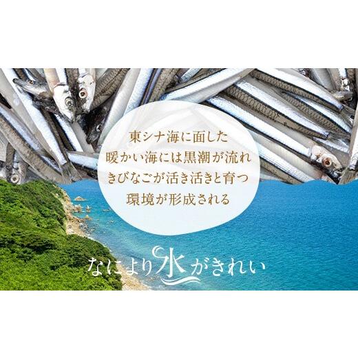 ふるさと納税 鹿児島県 薩摩川内市 AS-005 きびなご塩干1kgセット(500g×2)