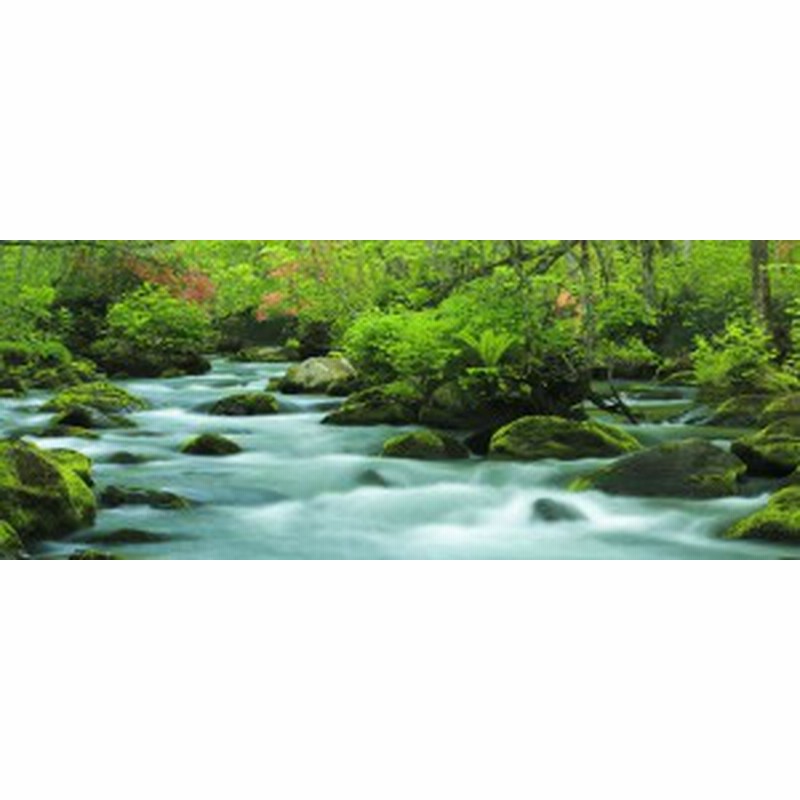 絵画風 壁紙ポスター 地球の撮り方 ツツジ映える新緑の奥入瀬渓流 青森県十和田市 C Zjp 047p1 パノラマ版 1440mm 576mm 通販 Lineポイント最大1 0 Get Lineショッピング