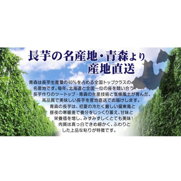 長いも 2.5kg 土付き長いも 青森産 500g×5袋 規格外 切れ子 送料無料 食品